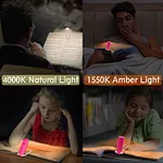 Book Reading Light
